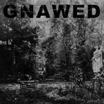 Gnawed